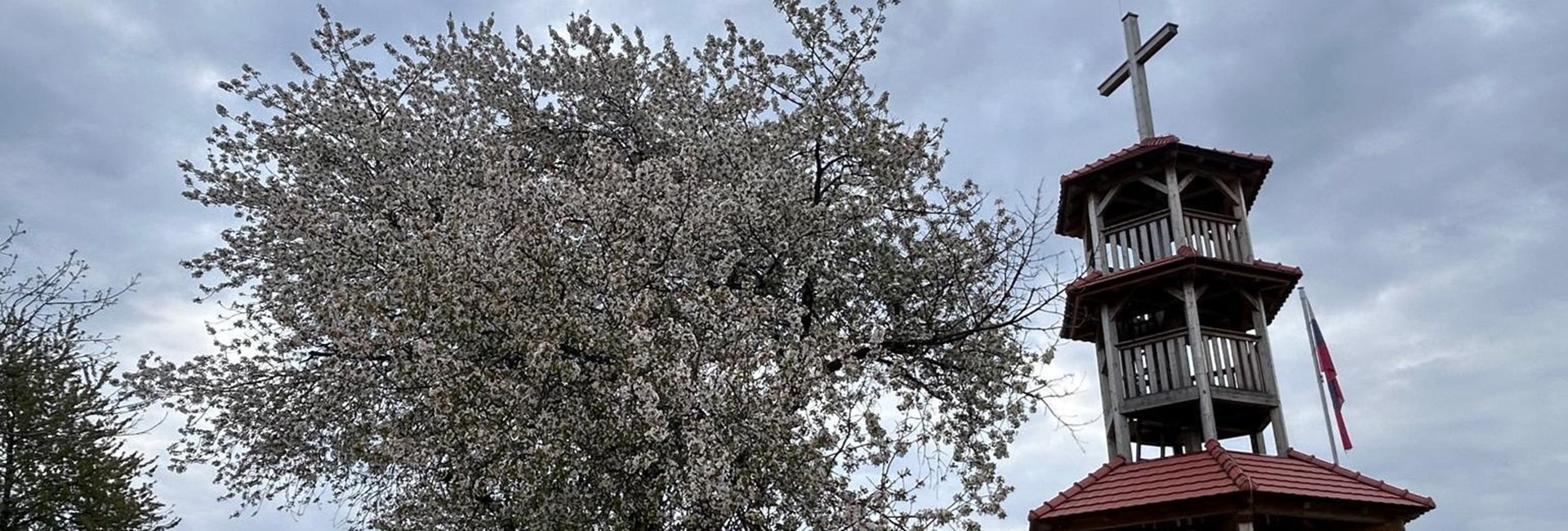 Pomlad na Sotinskem bregu