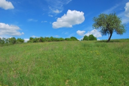 21757416829DSC_0058m_2354 (002)